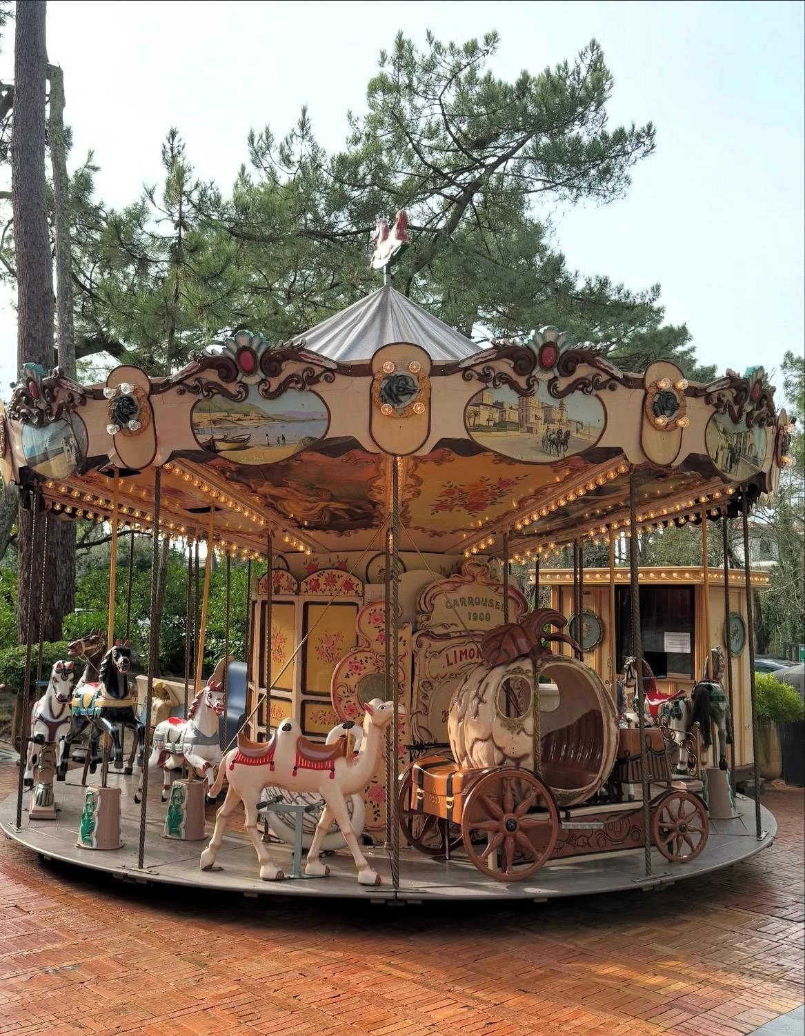 Carrousel 1900 vue d'ensemble avec chevaux de bois