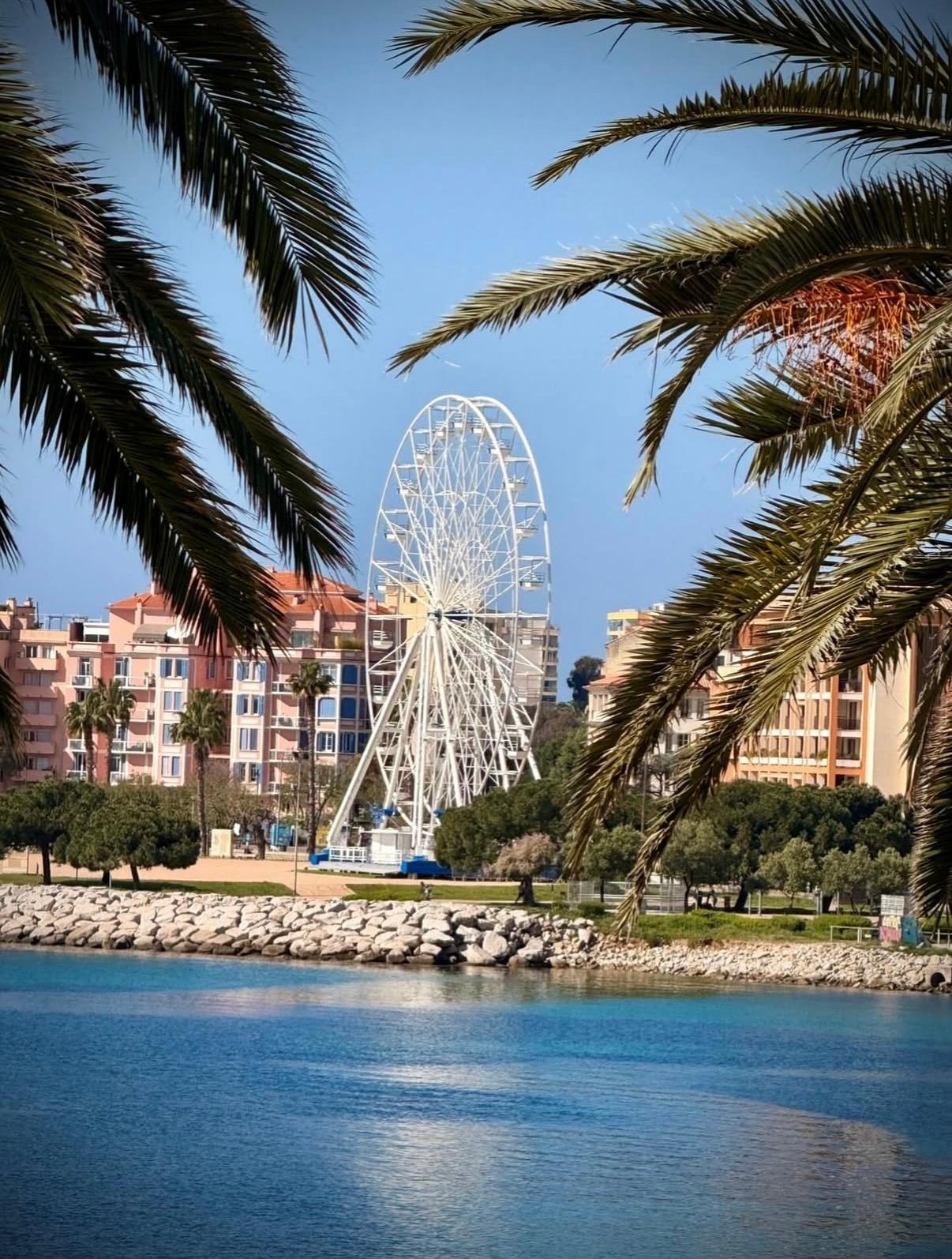 Grande roue de 20 mètres entourée de palmiers